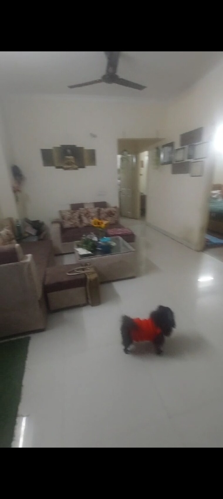 Living Room, svp-gulmohur-garden 3 Bedroom 1215 Sq.Ft. Apartment In Raj Nagar Extension Ghaziabad 8596929