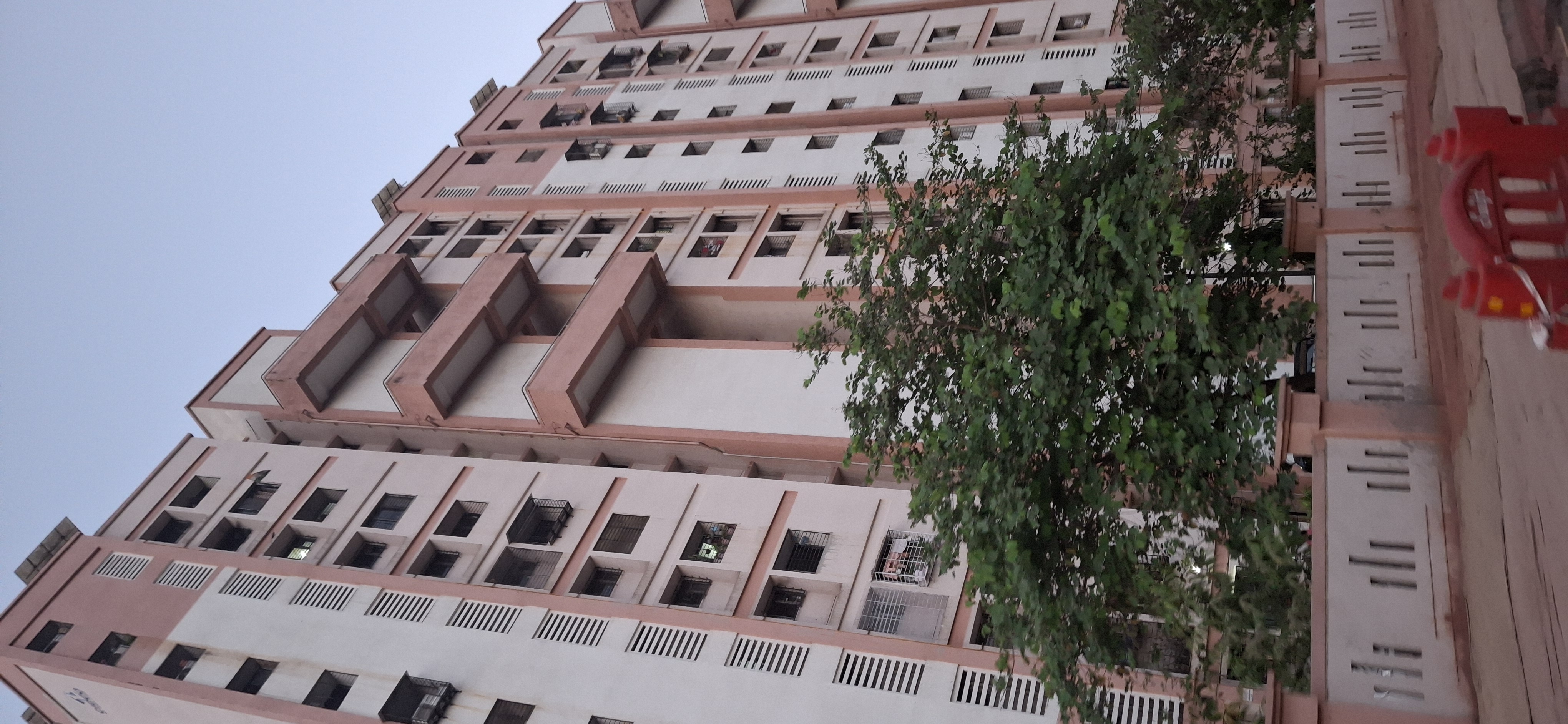 1 BHK Apartment For Rent in Megh Malhar Co-op Housing Society