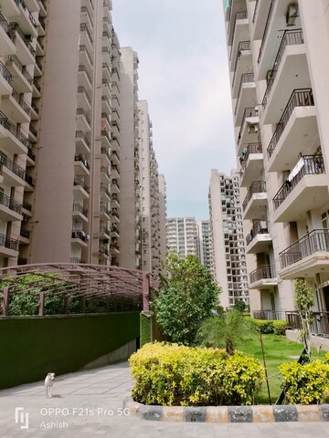3 BHK Apartment – Exterior View View at Aims Greens Avenue, Sector 4 Greater Noida - for Sale