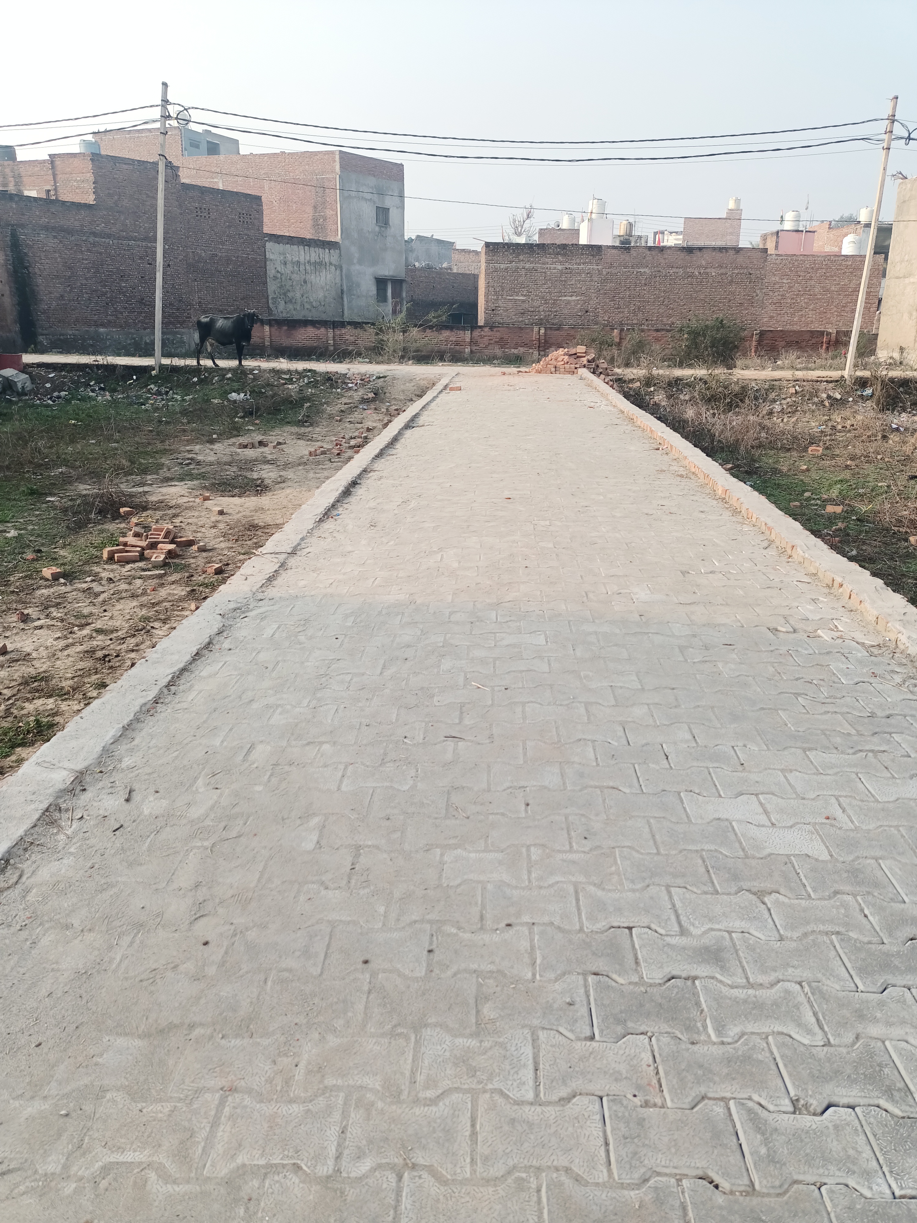 Plot For Sale in Jaisingh Pura