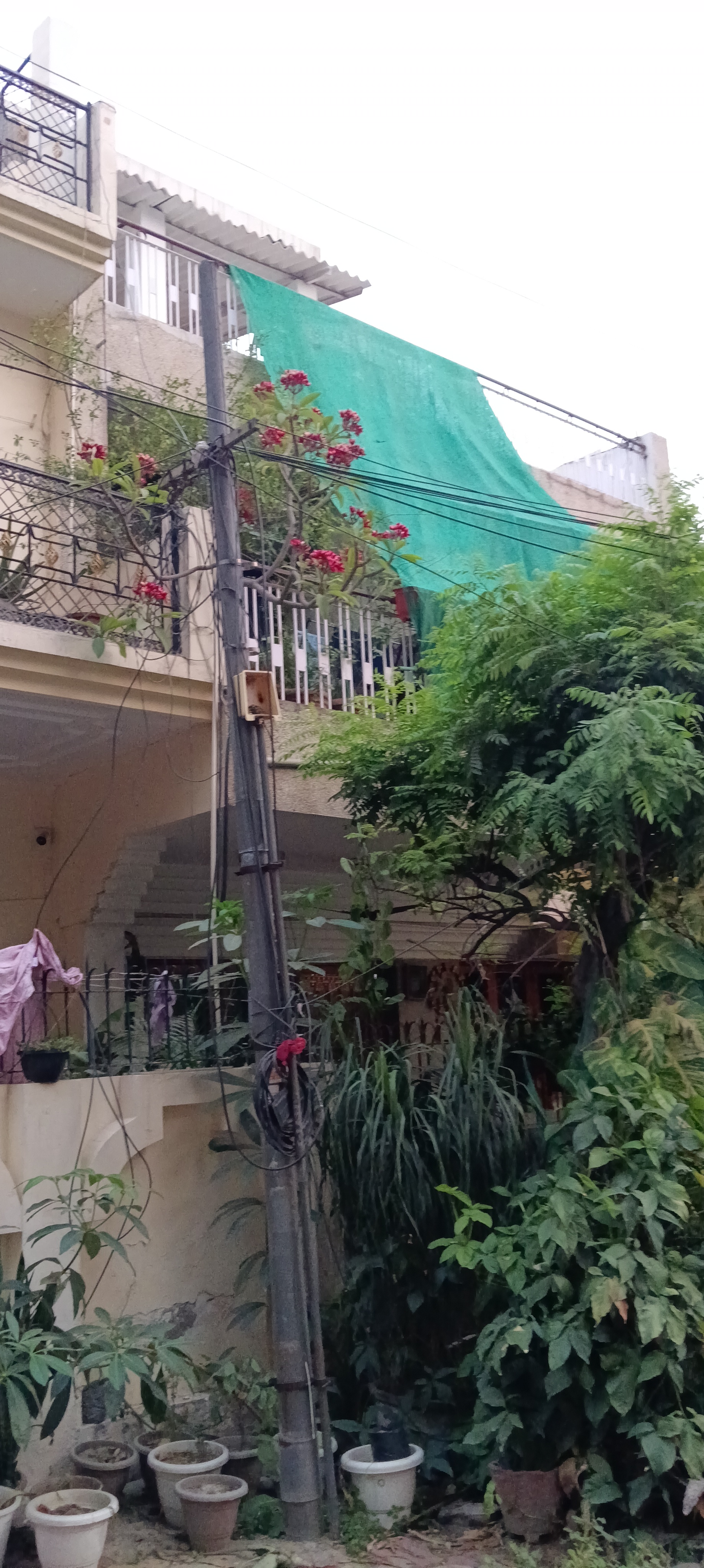 5 BHK + Pooja Room Independent House For Sale in RWA Apartments Sector 27