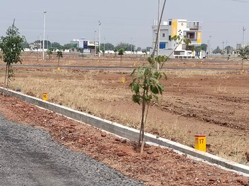  Plot For Sale in Housing Board Colony