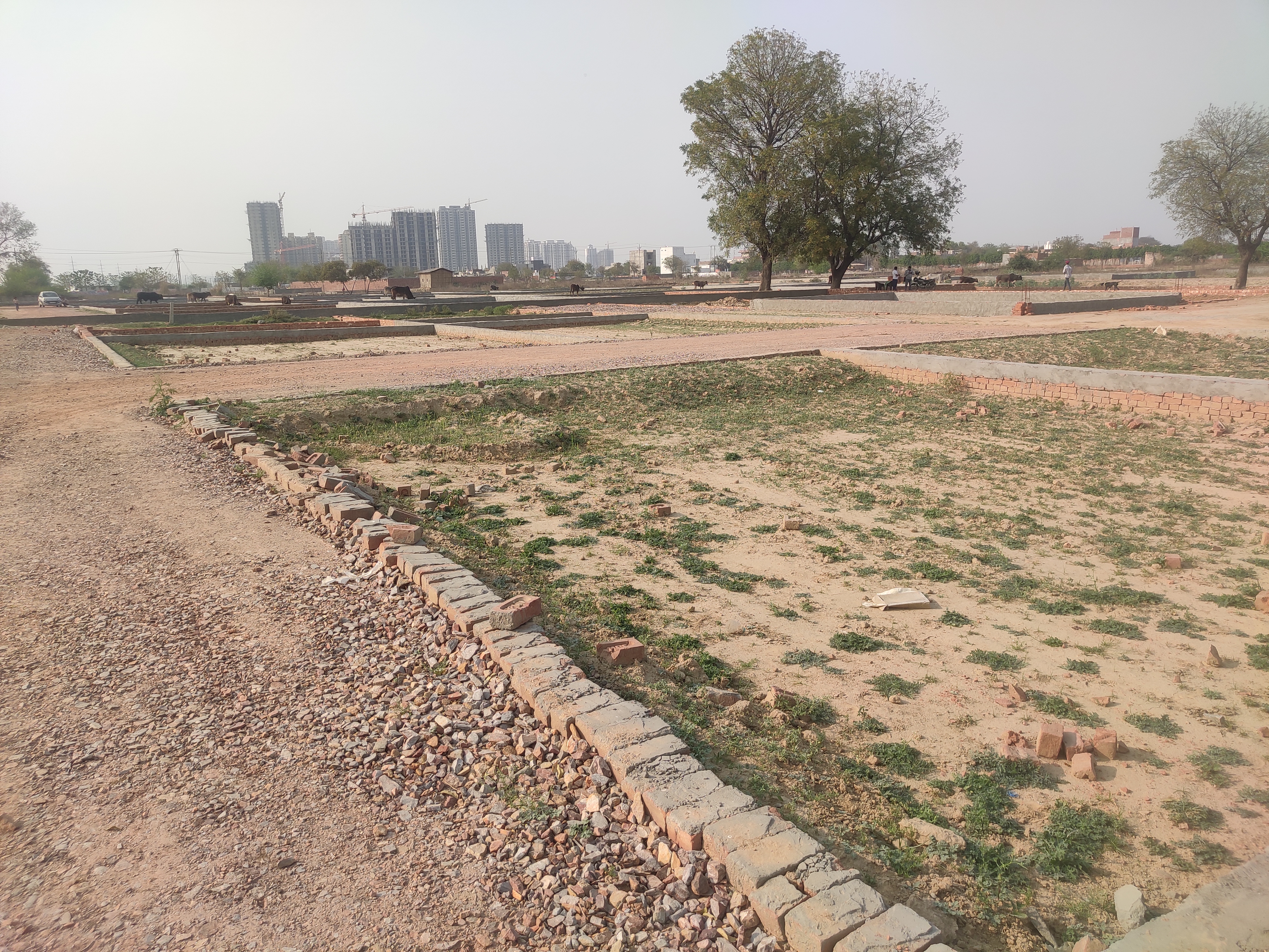 Plot For Sale in Jewar