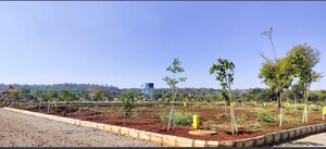 Plot Area in  Plot at Dilwarguda – for Sale