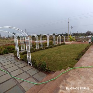  Plot – Exterior View View at Dilwarguda - for Sale