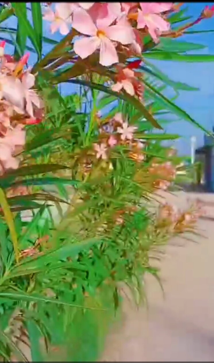 Exterior View, rohta  100 Sq.Yd. Plot In Rohta Agra 8598280