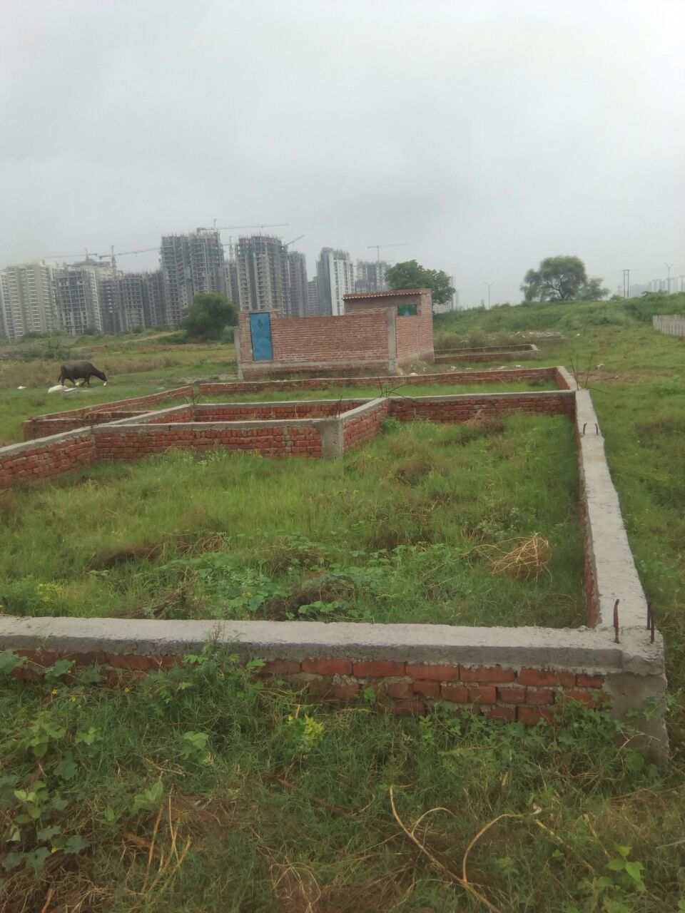 Plot For Sale in Sector 167