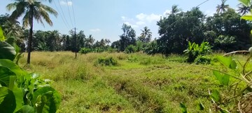 Plot Area in  Land at Viyyur – for Sale