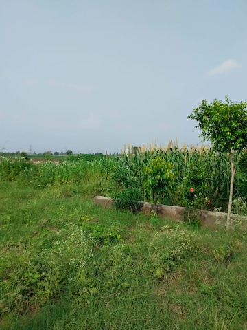  Land For Sale in Panvel