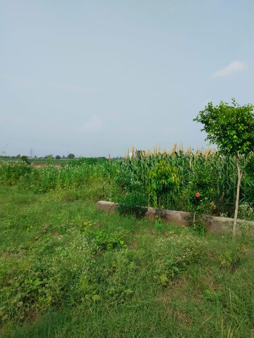  Land For Sale in Panvel