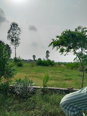  Land For Sale in Panvel