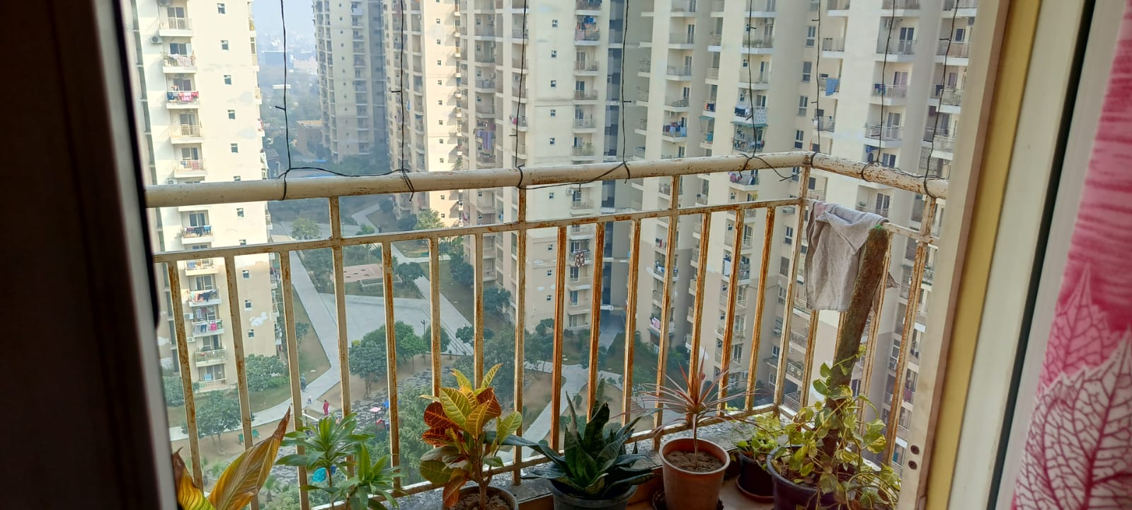 3 BHK + Servant Room Apartment For Sale in Paramount Emotions
