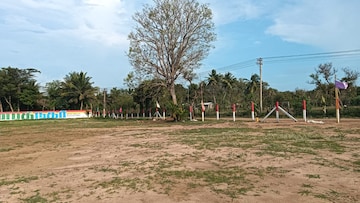 Plot Area in  Plot at Nanjikottai – for Sale