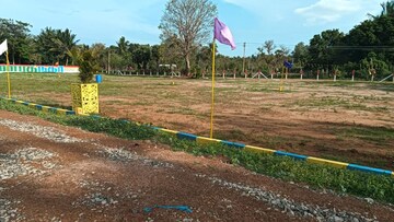 Plot Area in  Plot at Nanjikottai – for Sale