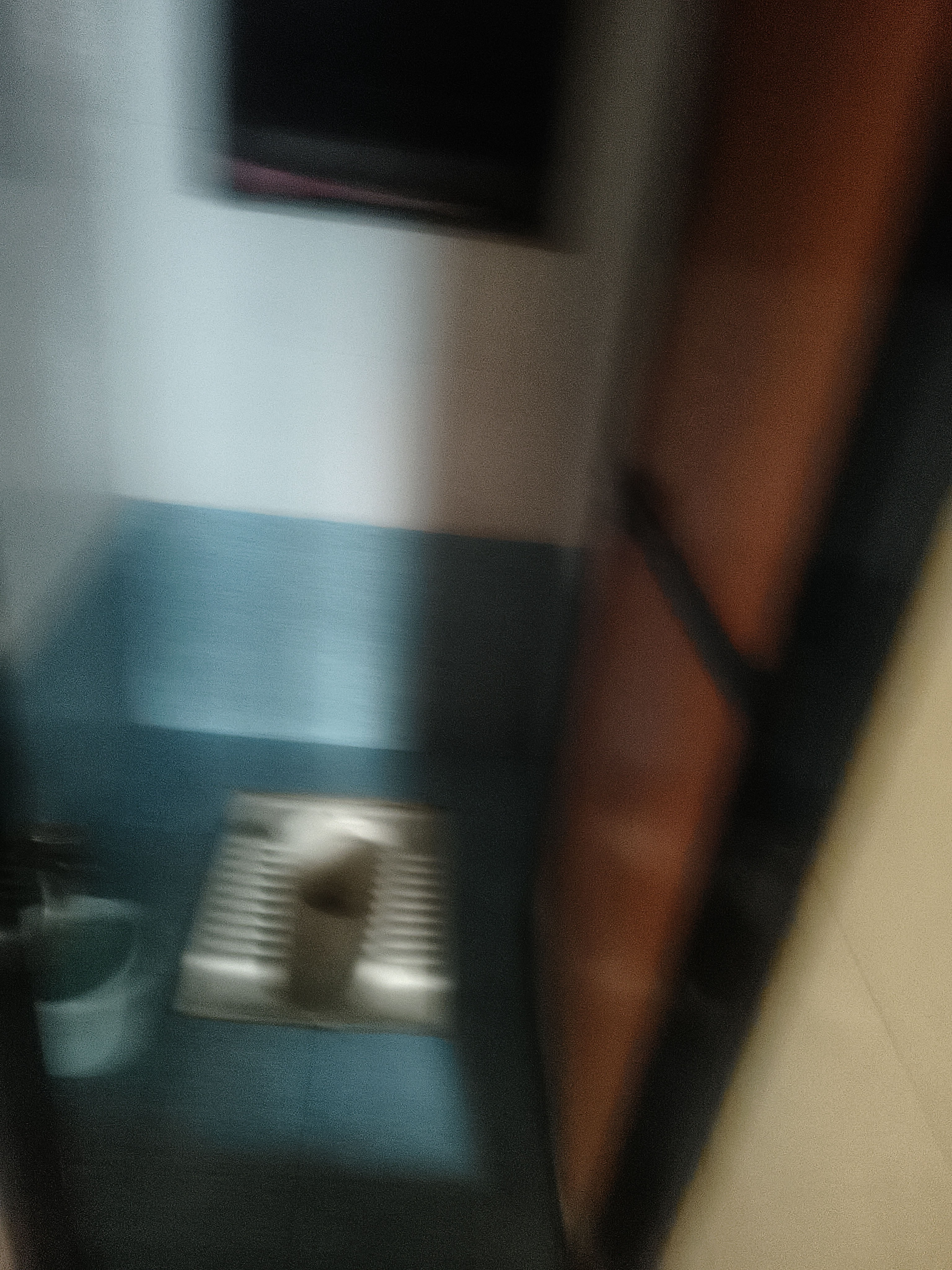 1 BHK Apartment For Rent in Shiv Darshan Complex Kalyan