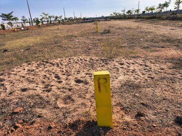 Plot Area in  Plot at Dhakoli – for Sale