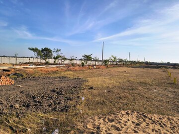  Plot For Sale in Dhakoli
