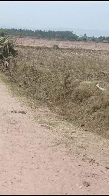  Land For Sale in Vijayawada One Town