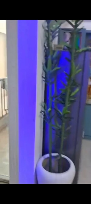 Swimming Pool in 3 BHK Apartment at Windsor Paradise 2, Raj Nagar Extension – for Sale