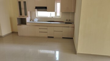 Kitchen in 2 BHK Builder Floor at Sector 47 – for Rent