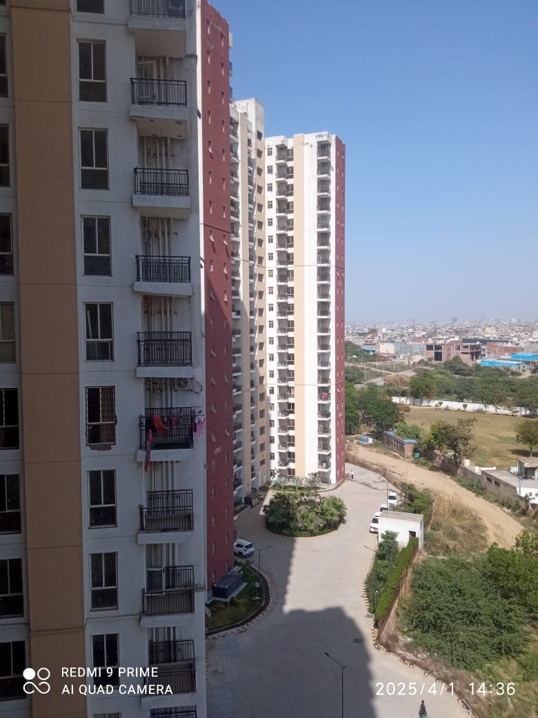 3 BHK Apartment For Rent in Tulip Orange