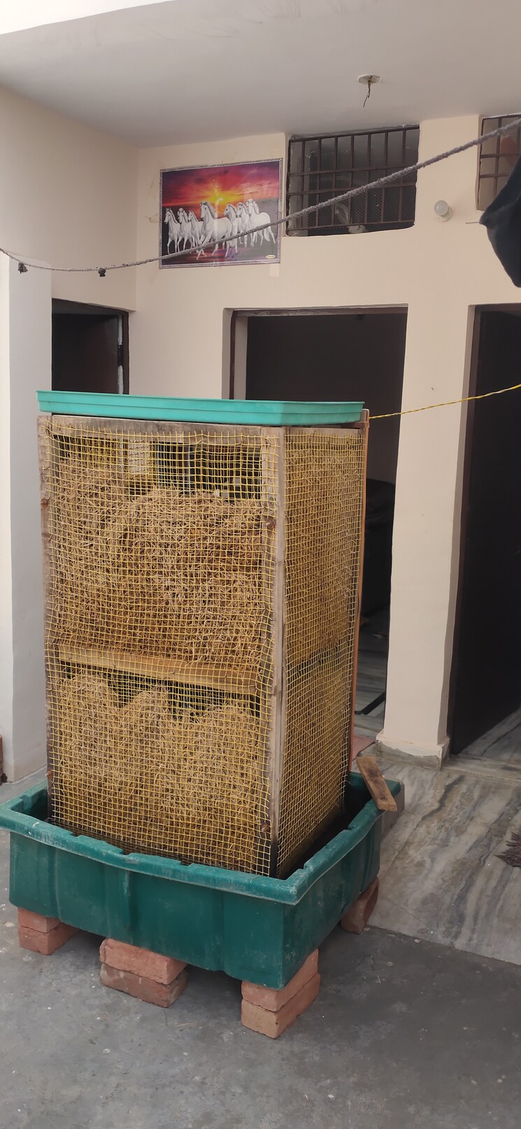 Bedroom, kamla nagar 4 Bedroom 68 Sq.Yd. Independent House In Kamla Nagar Agra 8601893