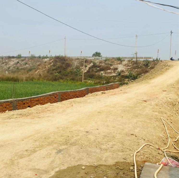 undefined, dihrampur  1500 Sq.Ft. Plot In Dihrampur Darbhanga 8601922