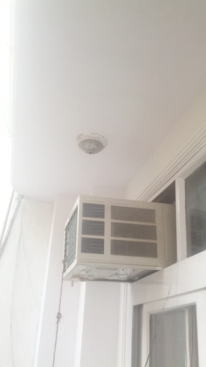 3 BHK + Study Room Builder Floor For Rent in Chittaranjan Park