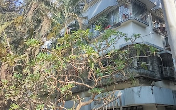 1 BHK Apartment For Rent in Exotica CHS, Ic Colony