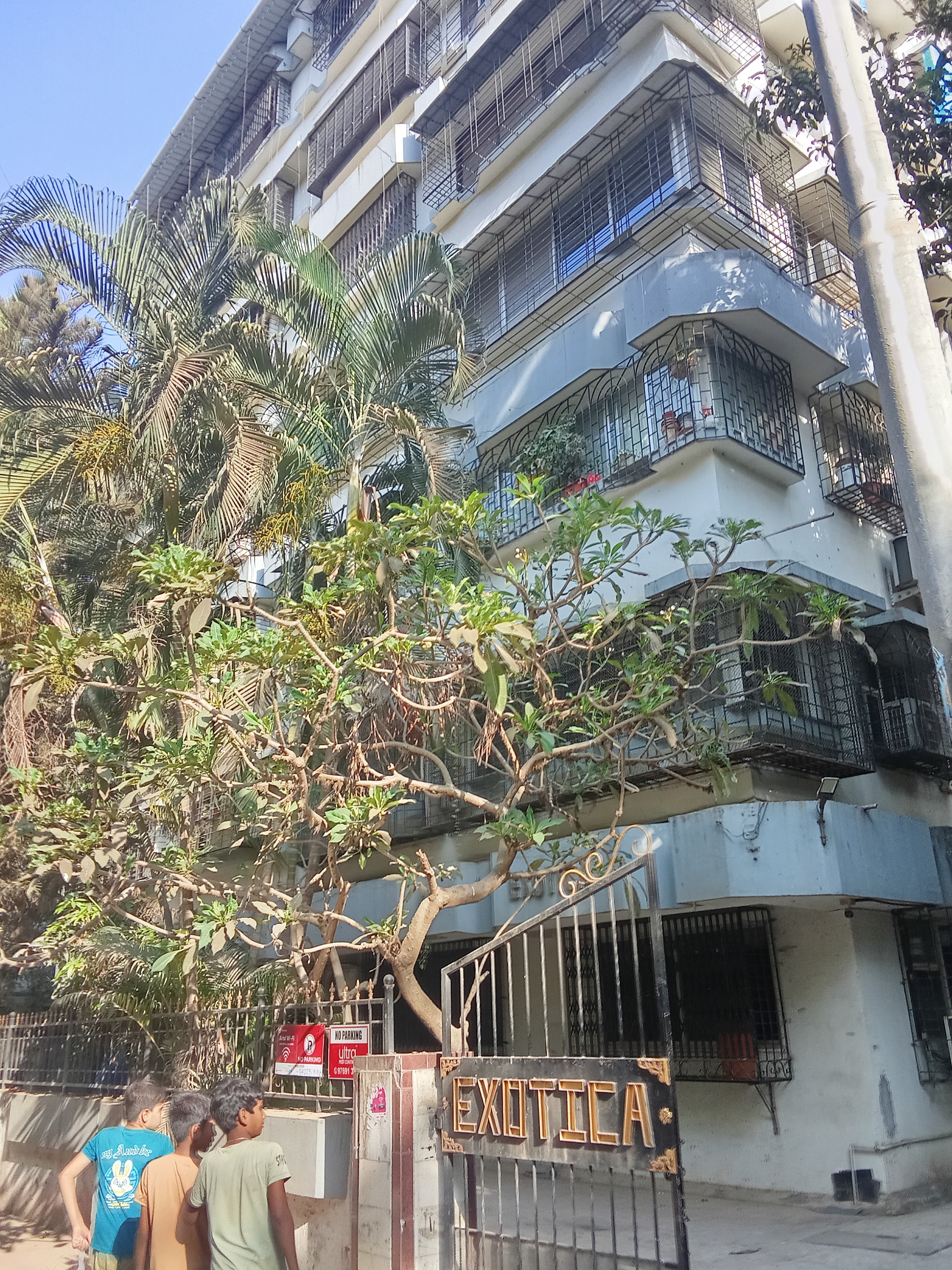 1 BHK Apartment For Rent in Exotica CHS