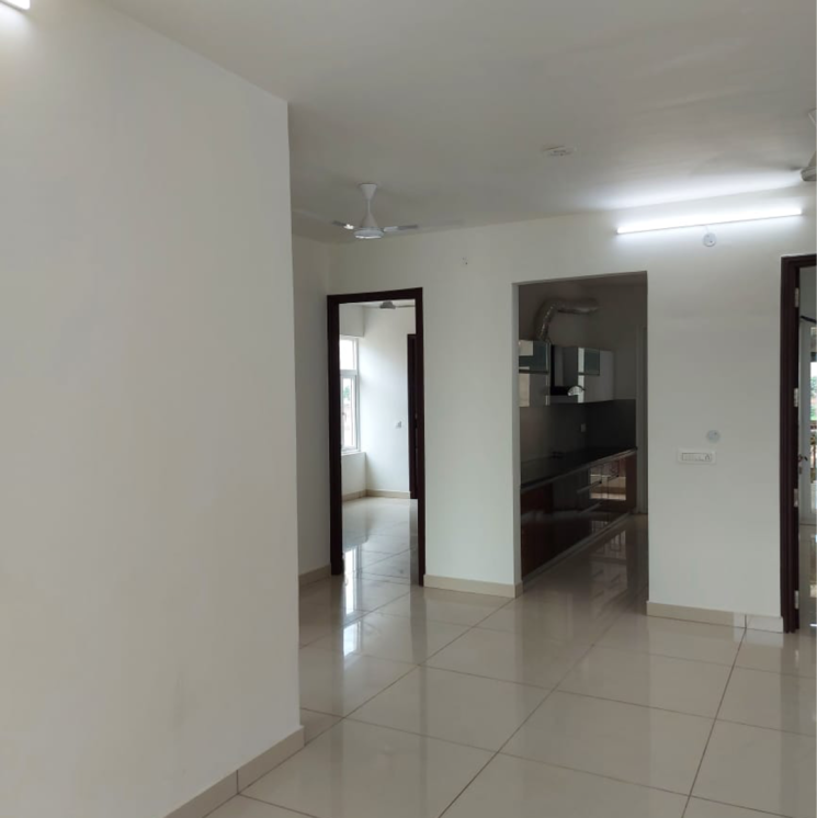 Kitchen, hermitage-centralis 3 Bedroom 1800 Sq.Ft. Apartment In Vip Road Zirakpur 8602061