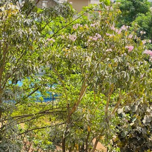 3 BHK Villa – Garden View at Atul WesternHills Villa, Veerabhadra Nagar - for Sale