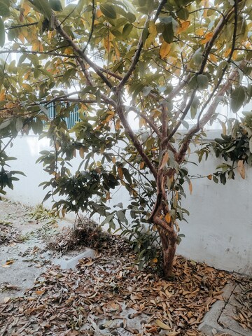 3 BHK Apartment – Garden View at BPTP Park Elite Floor II, Sector 75 - for Rent