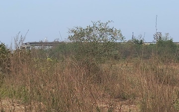 Land For Sale in Boirdadar