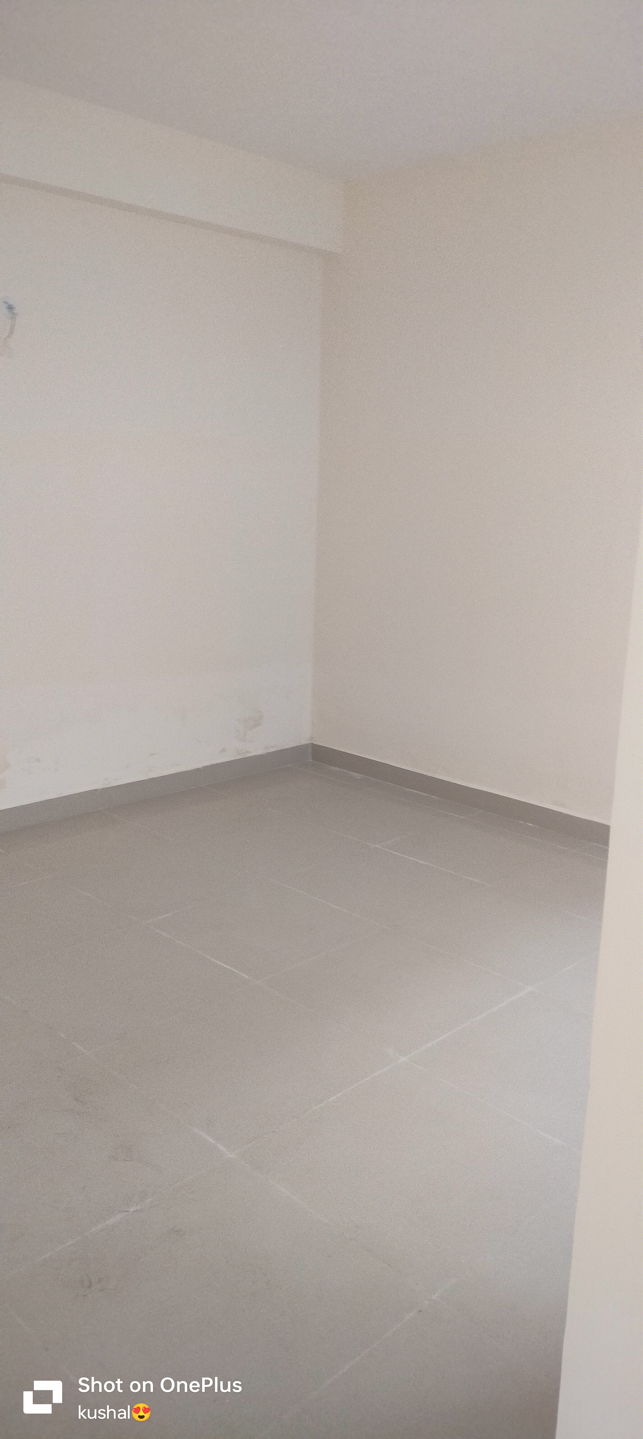 3 BHK + Servant Room Builder Floor For Rent in Ansal API Palm Floors