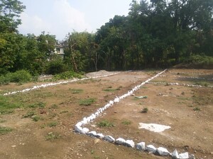 Plot Area in  Plot at Badowala – for Sale