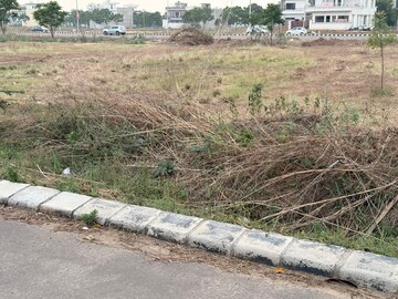 Plot For Sale in Altus Prime, North Mullanpur