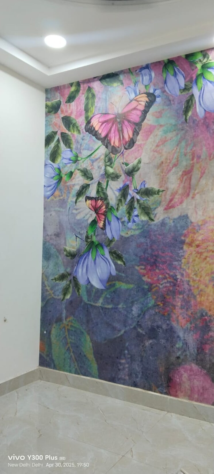 Garden, govindpuri 2 Bedroom 600 Sq.Ft. Builder Floor In Govindpuri Delhi 8602803