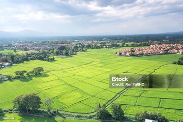  Plot For Sale in Dhankot