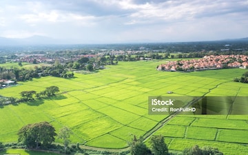 Plot For Sale in Dhankot