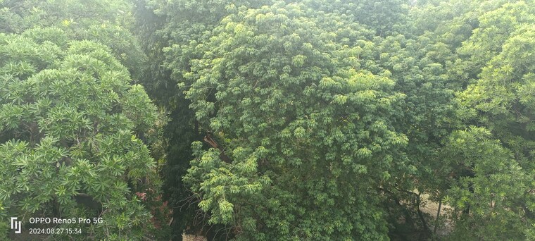 Garden, janakpuri 4 Bedroom 2925 Sq.Ft. Builder Floor In Janakpuri Delhi 8603067