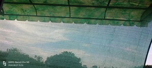 Swimming Pool in 4 BHK Builder Floor at Janakpuri – for Sale