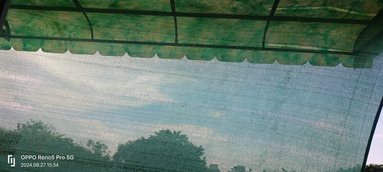 Swimming Pool, janakpuri 4 Bedroom 2925 Sq.Ft. Builder Floor In Janakpuri Delhi 8603067