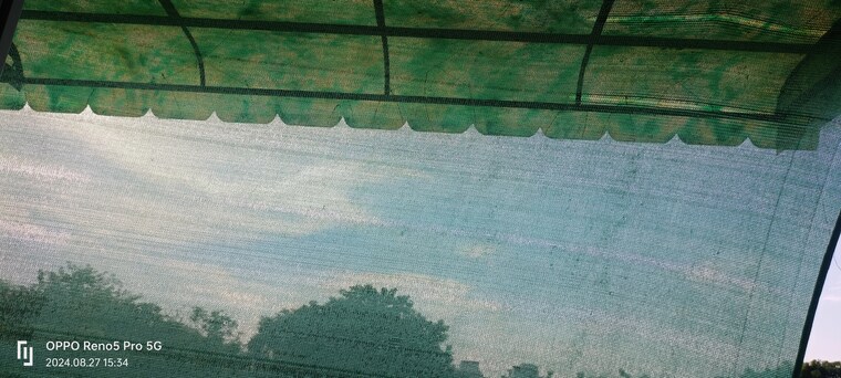 Swimming Pool, janakpuri 4 Bedroom 2925 Sq.Ft. Builder Floor In Janakpuri Delhi 8603067