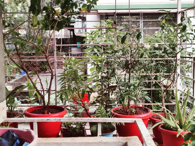 Balcony, sakal-nagar-chs 2 Bedroom 1100 Sq.Ft. Apartment In Aundh Pune 8603168