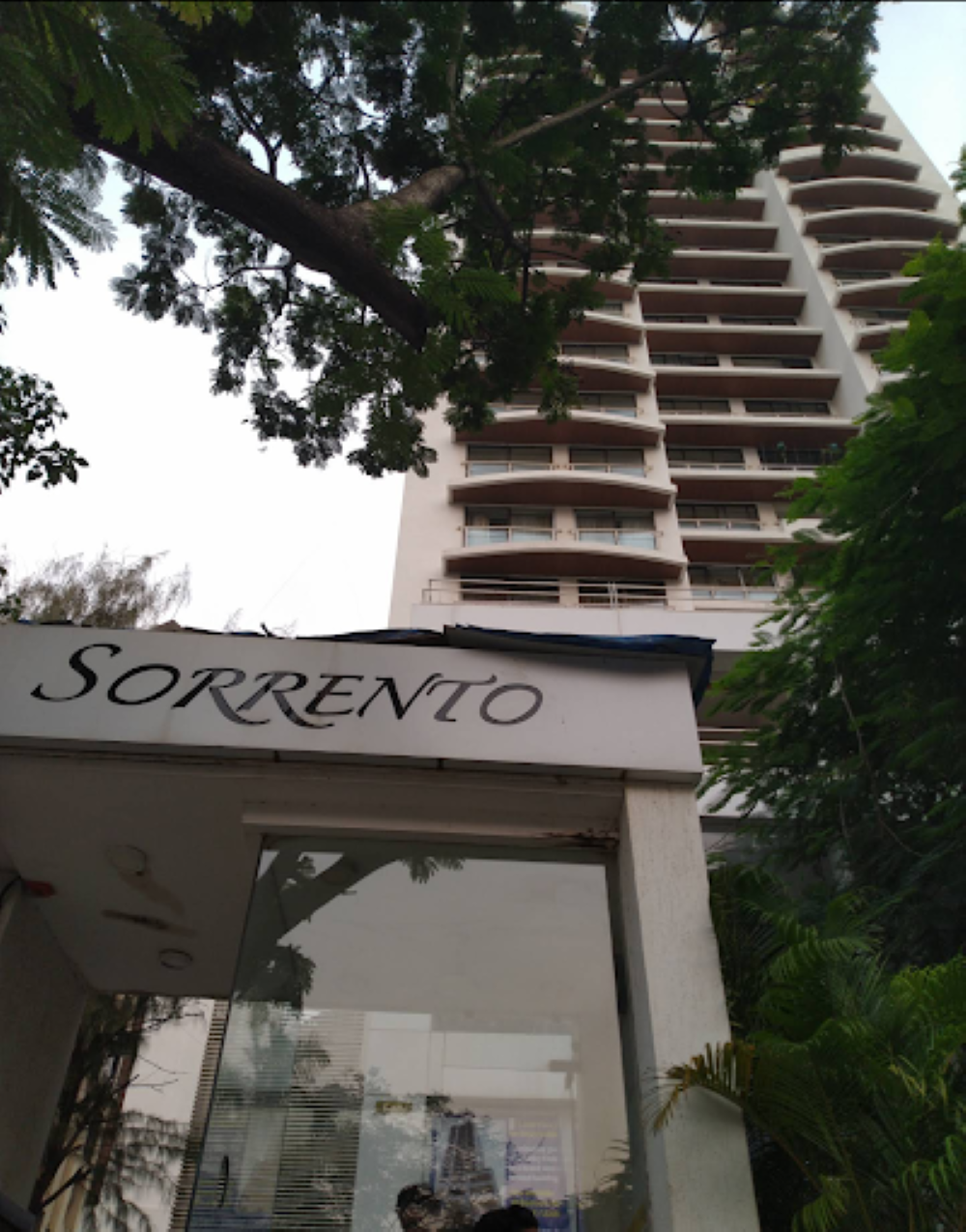 3 BHK Apartment For Sale in DLH Sorrento