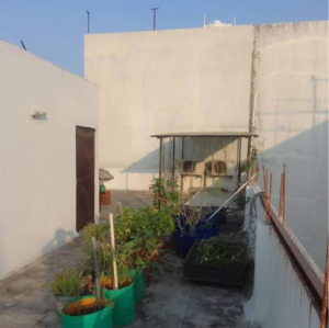 2 BHK Independent House – Exterior View View at Talawali Chanda - for Sale