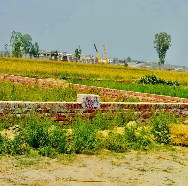 undefined, sarojini nagar  1250 Sq.Ft. Plot In Sarojini Nagar Lucknow 8603197