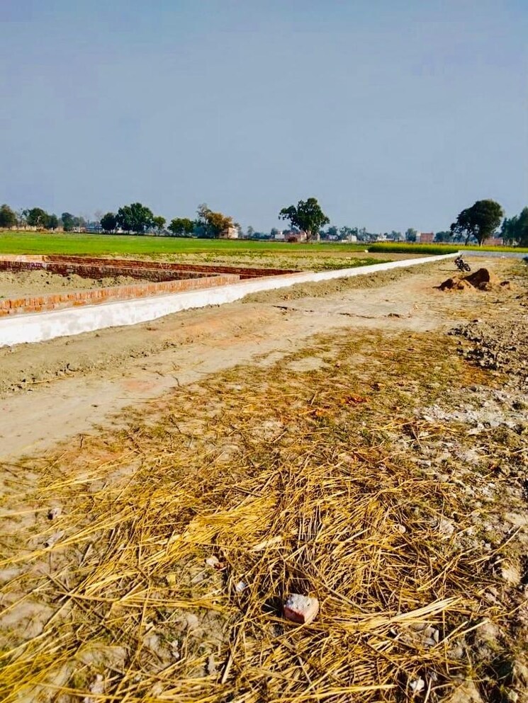 undefined, sarojini nagar  1250 Sq.Ft. Plot In Sarojini Nagar Lucknow 8603197