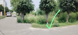  Plot For Sale in Salarpur Jalalpur